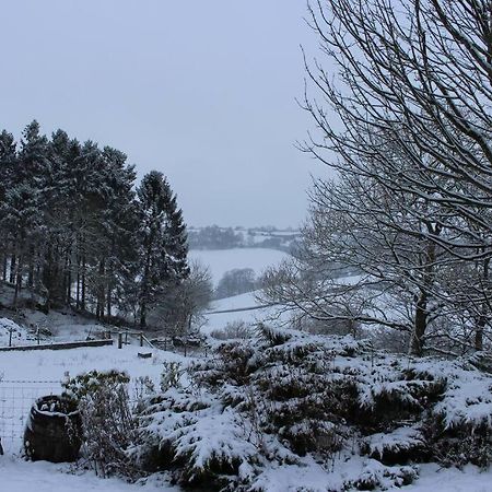 Country Home With Gardens Newtown (Powys) Exterior foto