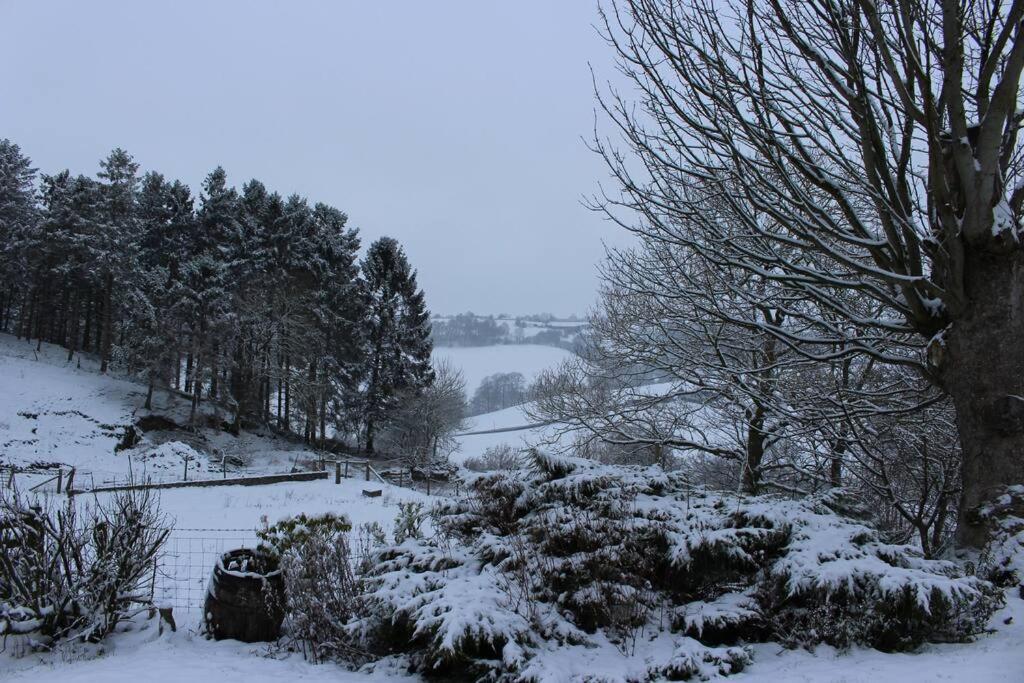 Country Home With Gardens Newtown (Powys) Exterior foto